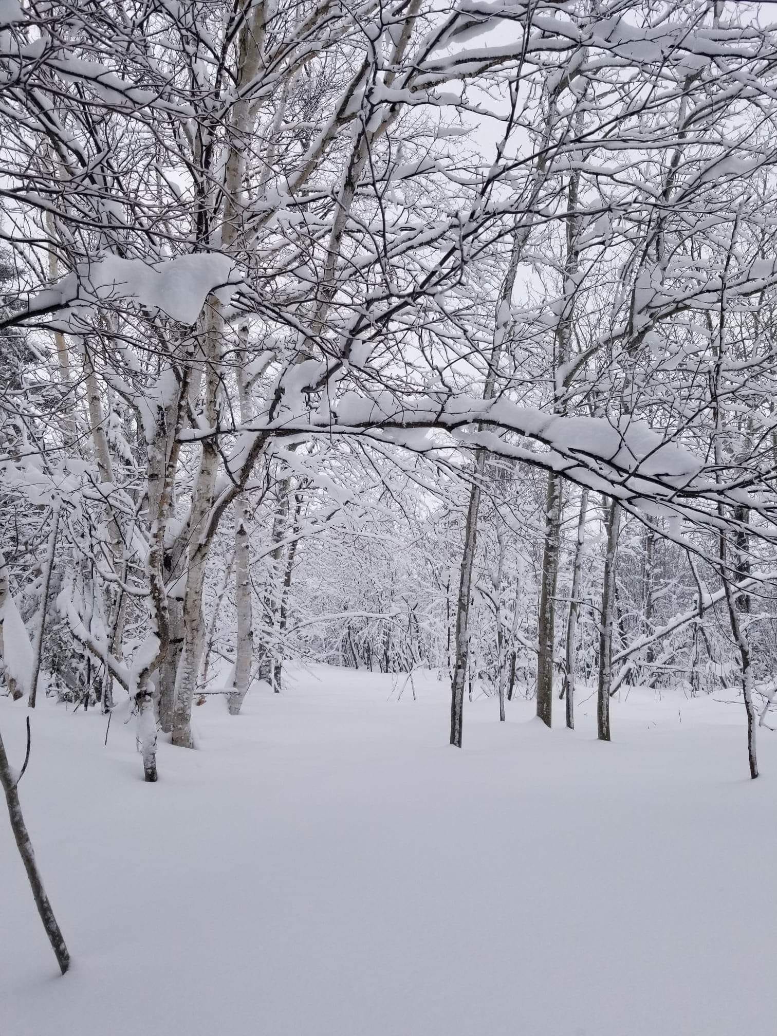 Notre beau sentier de neige