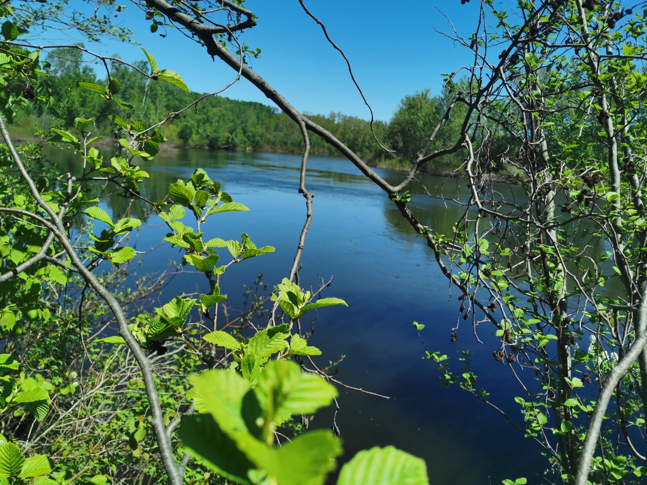 Rivière Mitis secteur du Marais à St-Joseph-de-Lepage